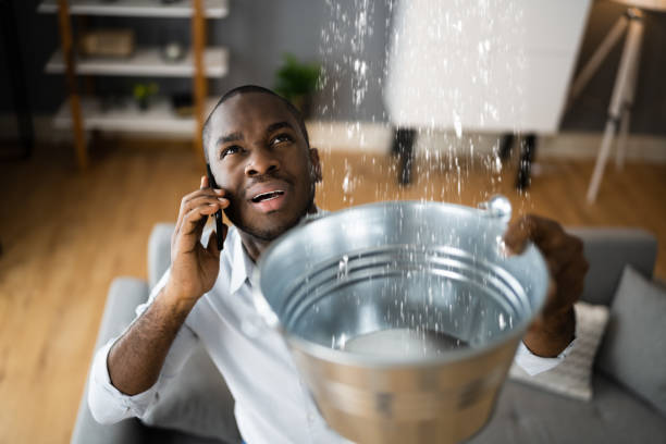 Best Mold removal after water damage  in Coral Gables, FL