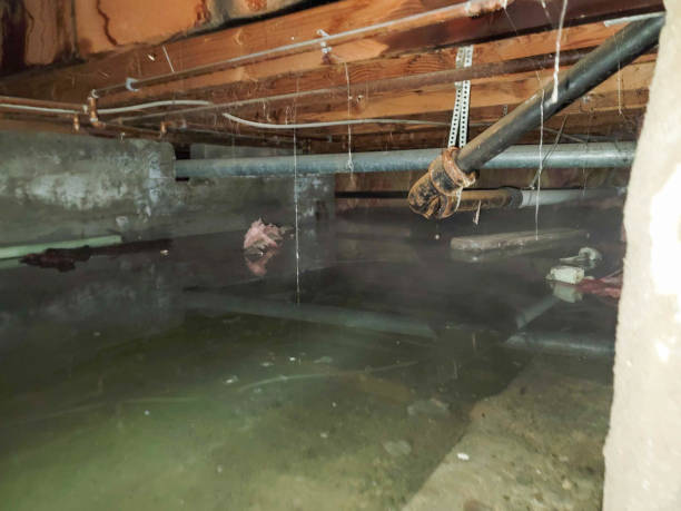  Coral Gables, FL Water damage restoration Pros