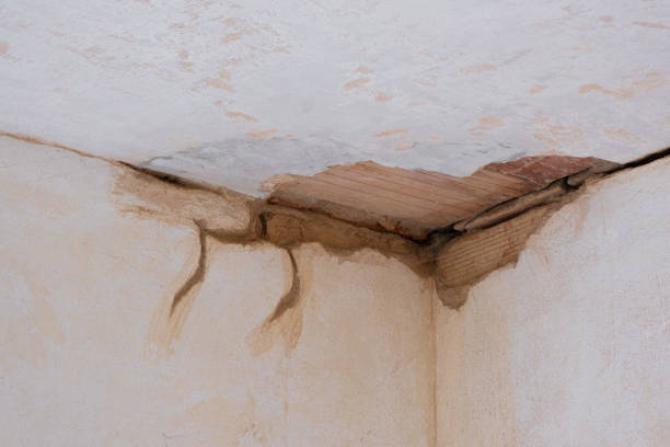 Best Basement water damage restoration  in Coral Gables, FL