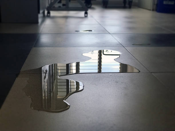 Best 24-hour water damage restoration  in Coral Gables, FL