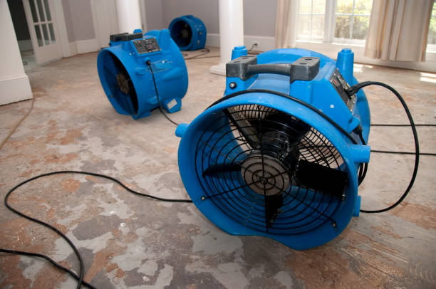 24/7 water damage repair in Coral Gables, FL