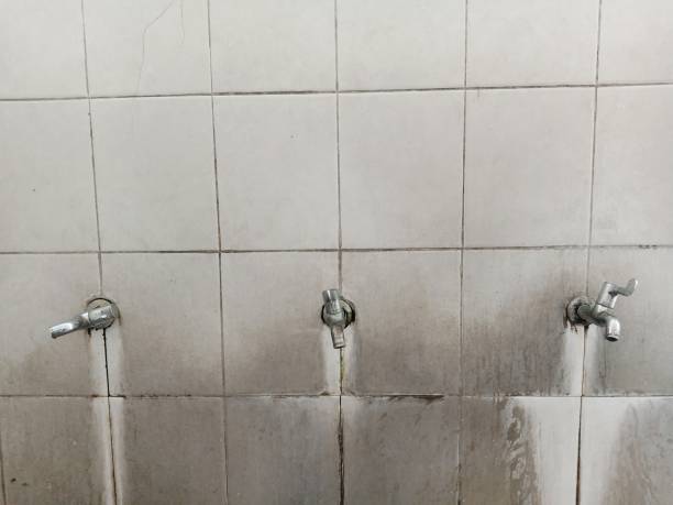 Best Water damage restoration near me  in Coral Gables, FL