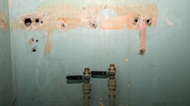 Best Flooded house restoration  in Coral Gables, FL